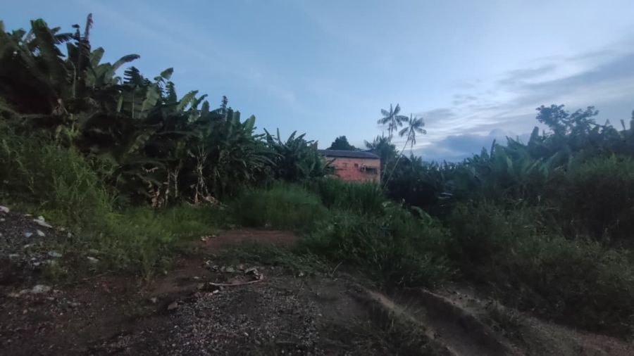 Terreno - Venda - Centro - Brasilia - AC