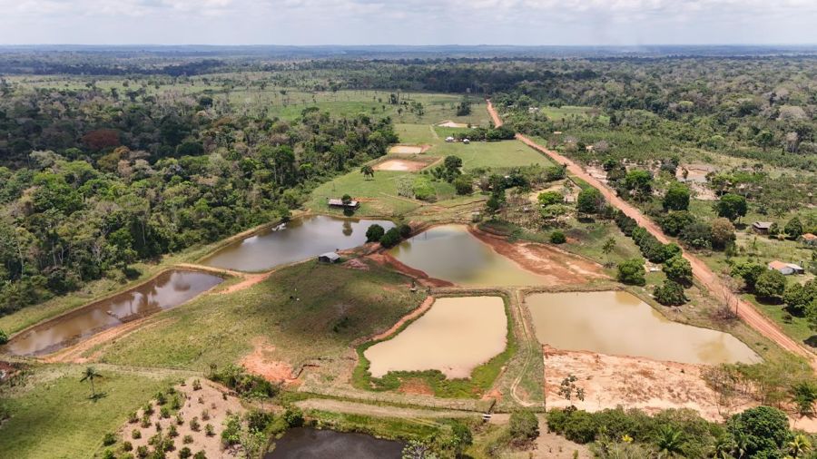 Chácara - Venda - Zona Rural - Plácido de Castro - AC