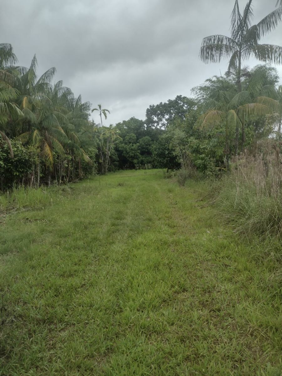 Chácara - Venda - Estrada do Panorama - Rio Branco - AC