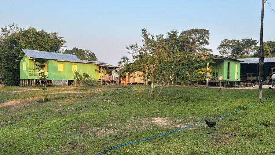 Fazenda - Venda - Zona Rural - Boca do Acre - AM
