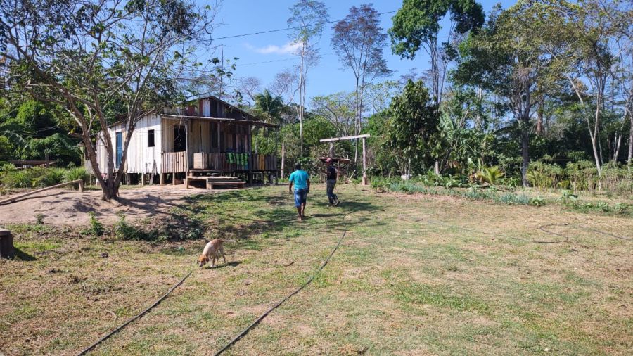 Chcara - Venda - Transacreana - Rio Branco - AC