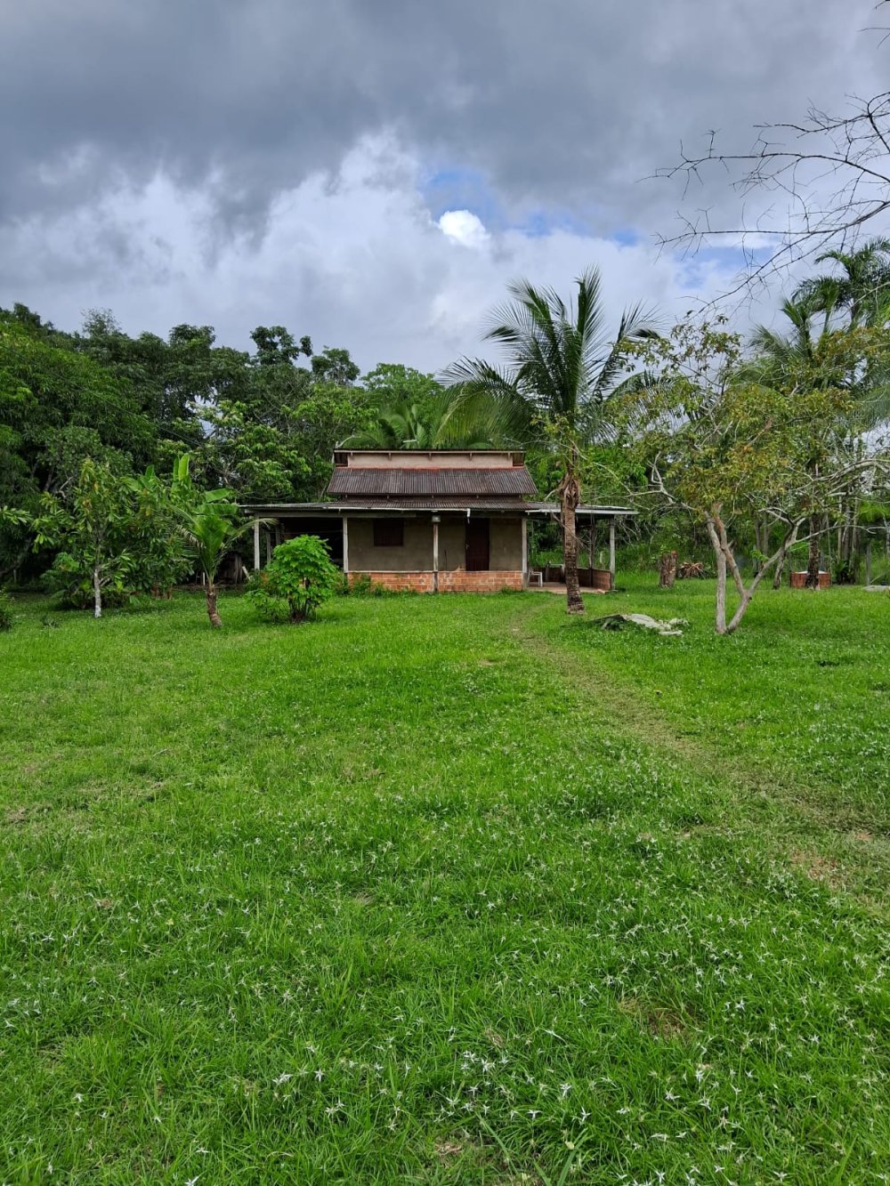 Chcara - Venda - Quixad - Rio Branco - AC