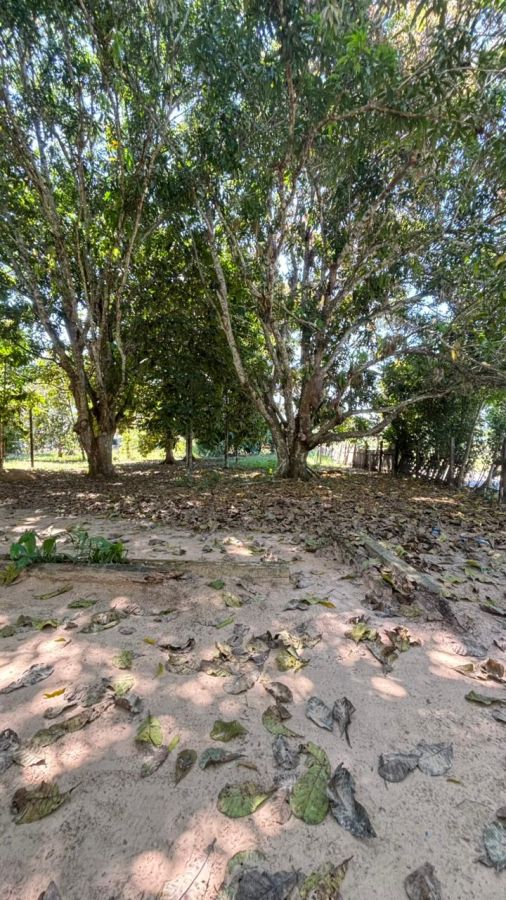 Chcara - Venda - Zona Rural - Rio Branco - AC
