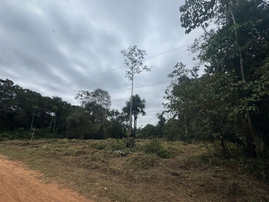 Terreno - Venda - Segundo Distrito - Rio Branco - AC
